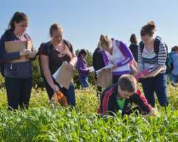 The university provides education to the students about the science related to agriculture, horticulture, environmental sciences, and other subjects.